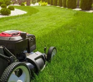 Are Zero Turn Mowers Dangerous? (Safety Options Explained) – Belo Garden