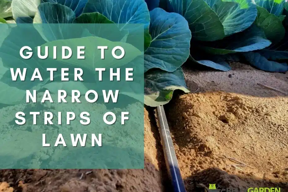A comprehensive guide to water the narrow strips of lawn