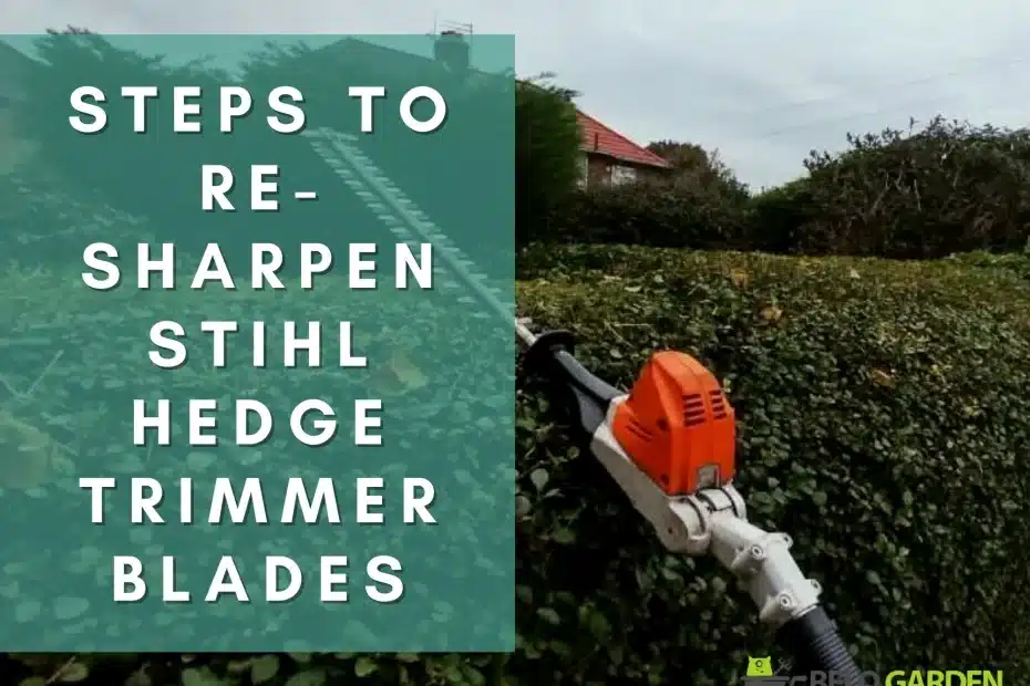 Five easy steps to re-sharpen stihl hedge trimmer blades