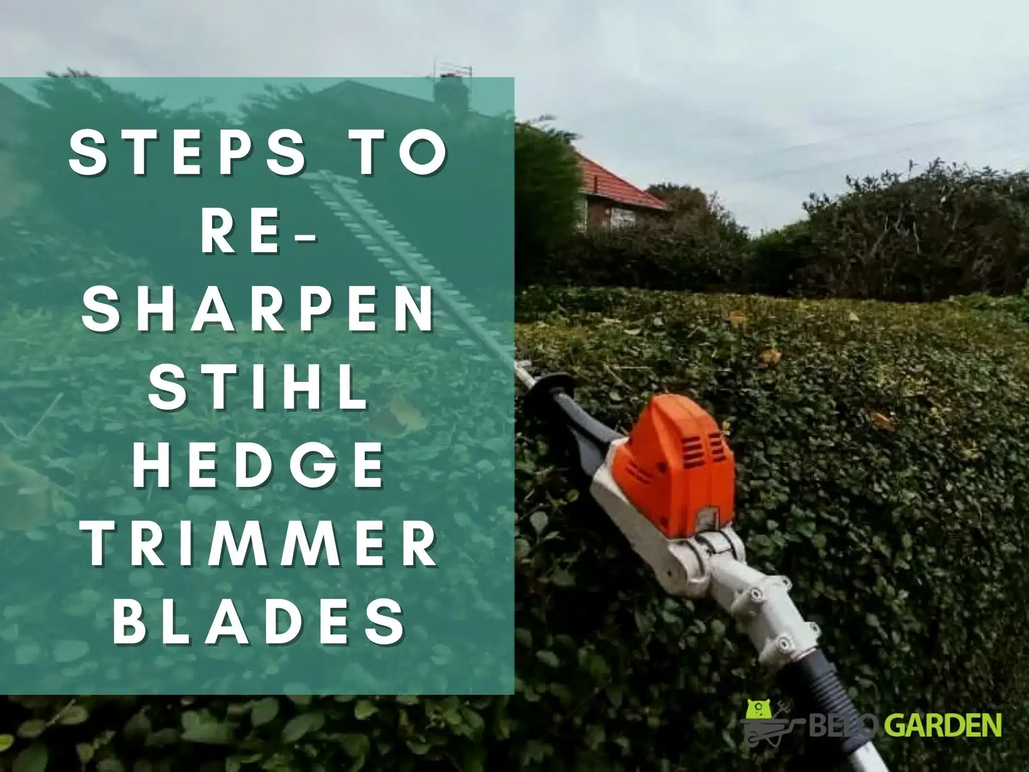 Five Easy Steps to Re-Sharpen Stihl Hedge Trimmer Blades
