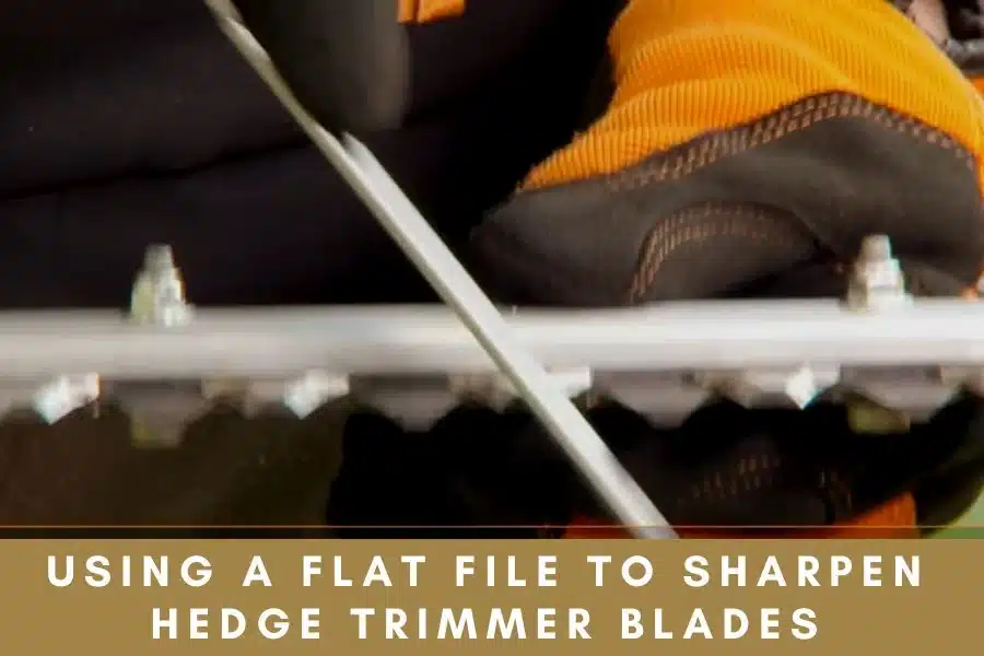 Re-Sharpen Stihl Hedge Trimmer Blades