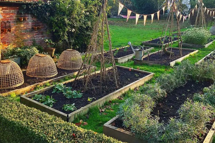 6 best cloches for your garden