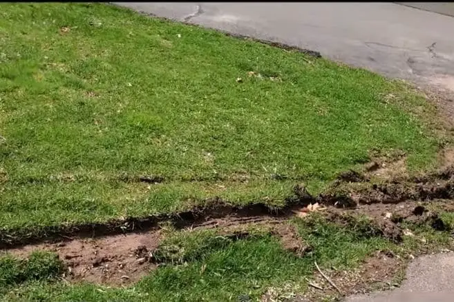 How to fix tire ruts on your lawn?