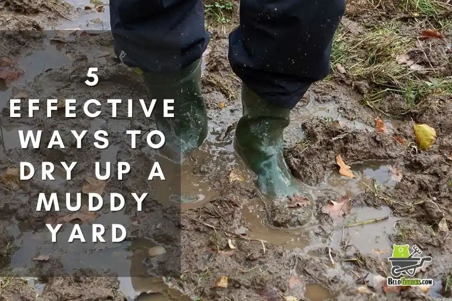 5 effective ways to dry up a muddy yard