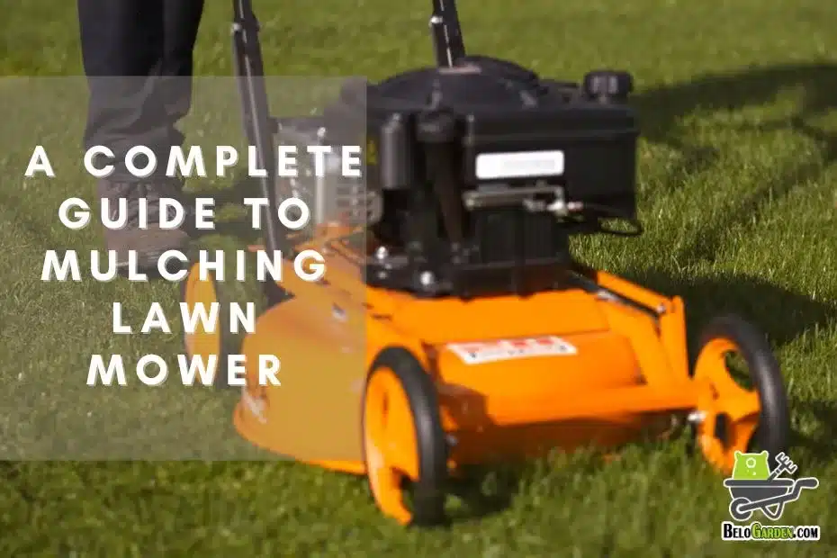 Say Goodbye to Messy Lawns- A Complete Guide to Mulching Lawn Mower