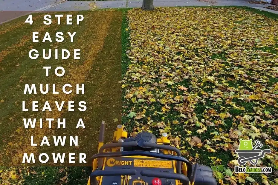 4 step easy guide to mulch leaves with a lawn mower