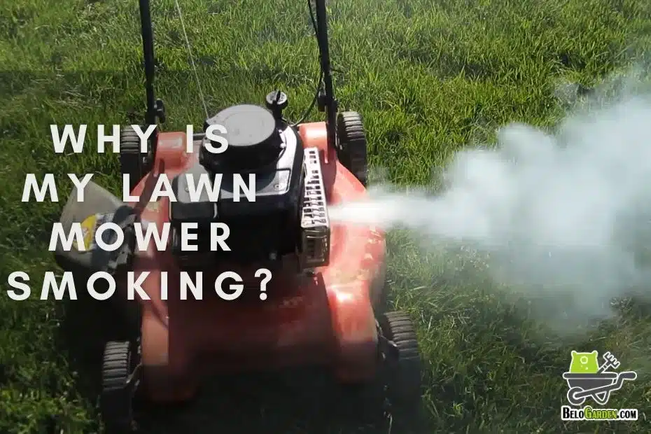 Why is my lawn mower smoking? Fix it in 5 steps immediately