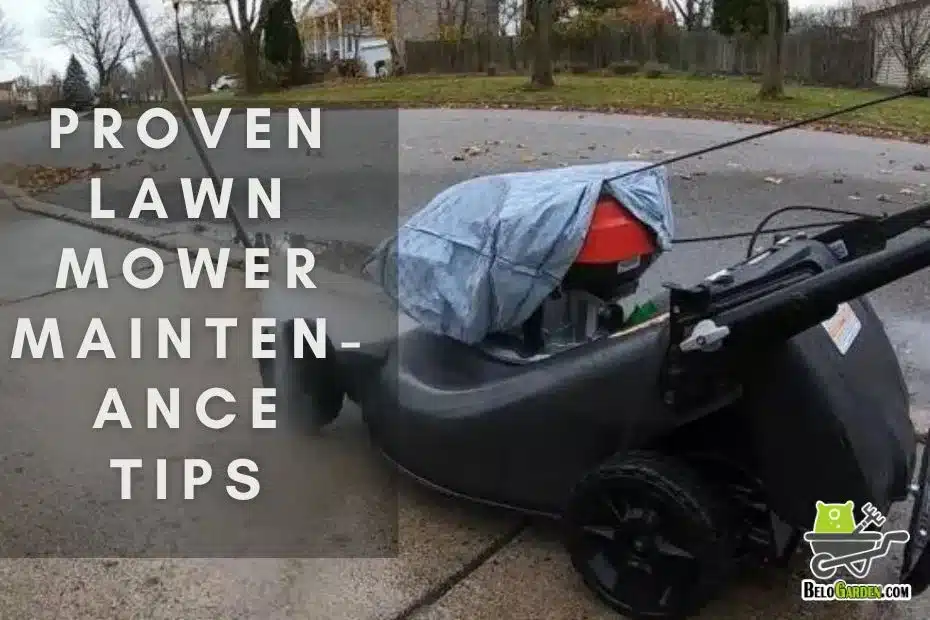 Proven lawn mower maintenance tips for a flawless lawn