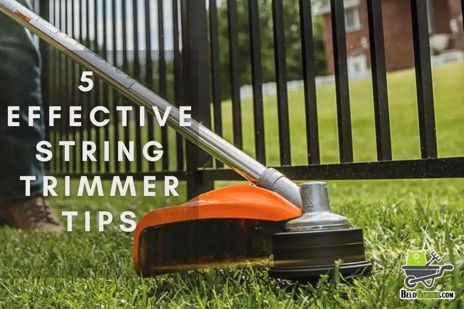 Try these 5 effective string trimmer tips and become a pro