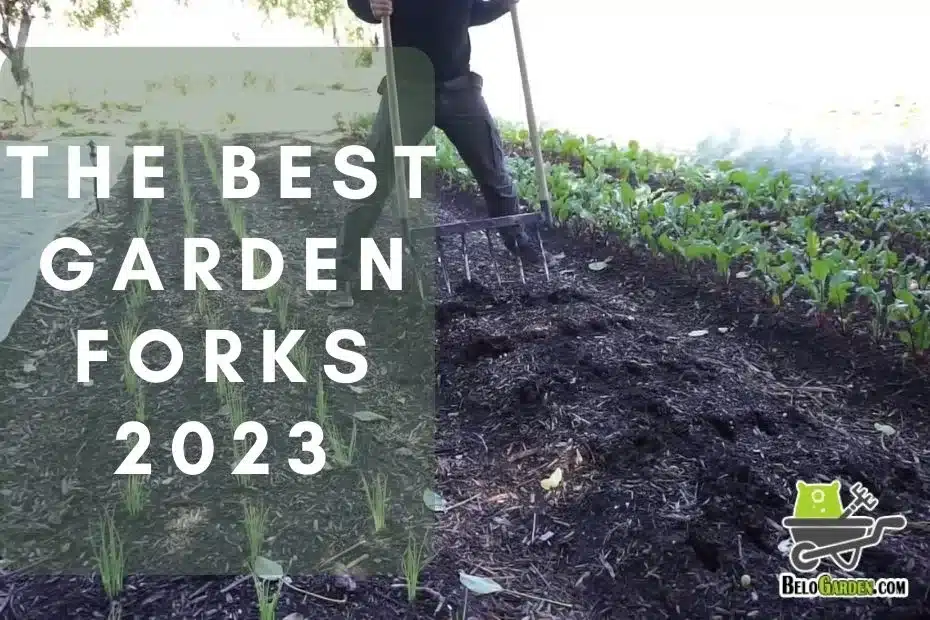 The best garden forks of 2023