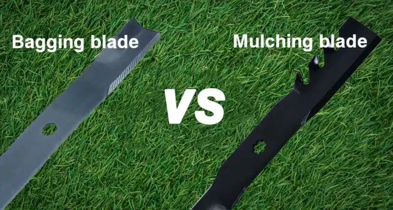 Mulching vs bagging blades