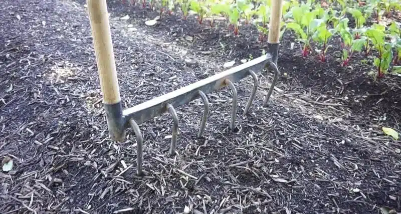Garden forks