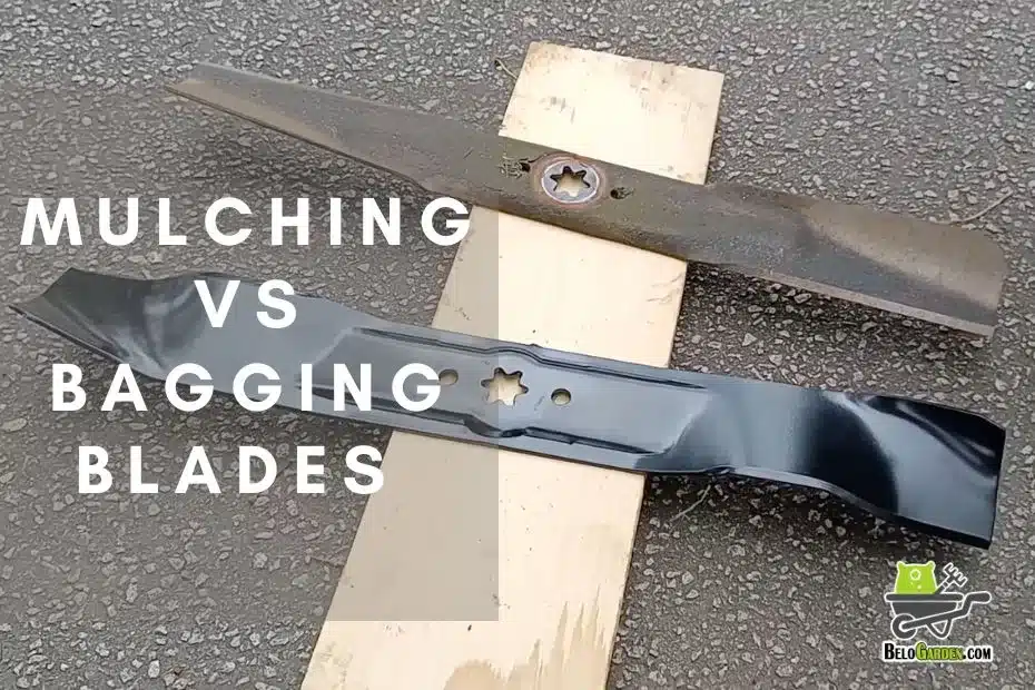 Discover 3 advantages of mulching vs bagging blades