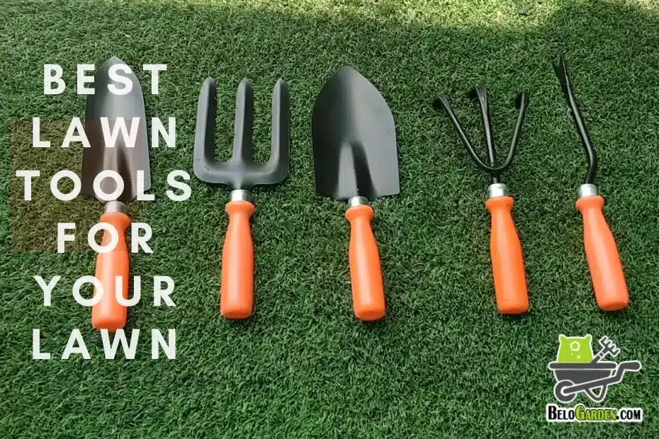 Best lawn tools