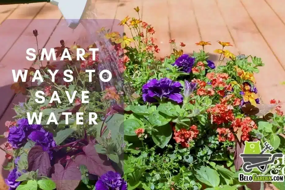 7 smart ways to save water in the yard