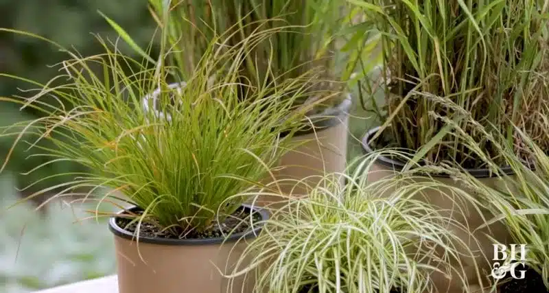 7 smart ways to save water in the yard