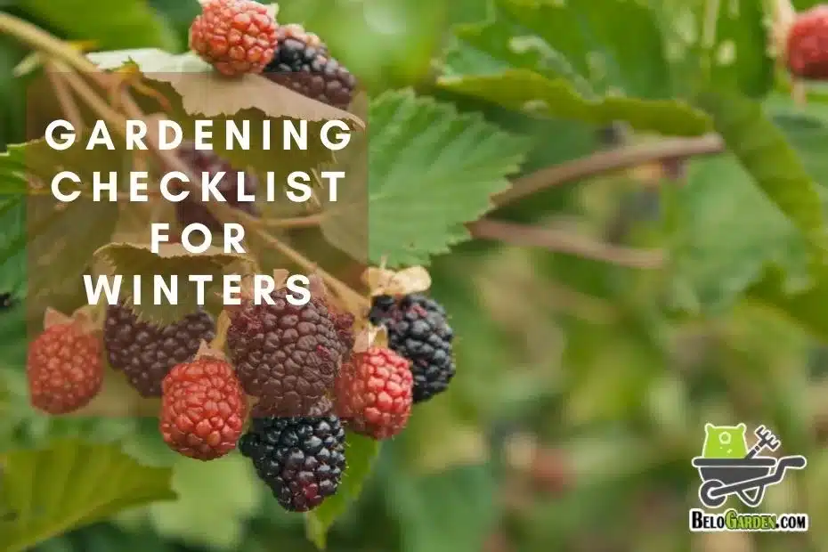 5 essentials: incredible gardening checklist for winter