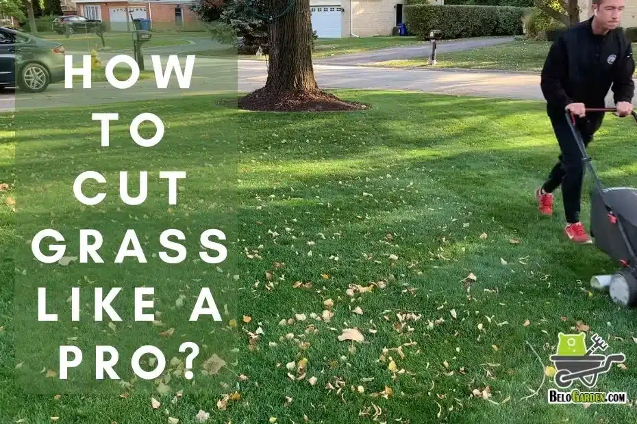 How to cut grass like a pro using 5 incredible lawn mowing patterns