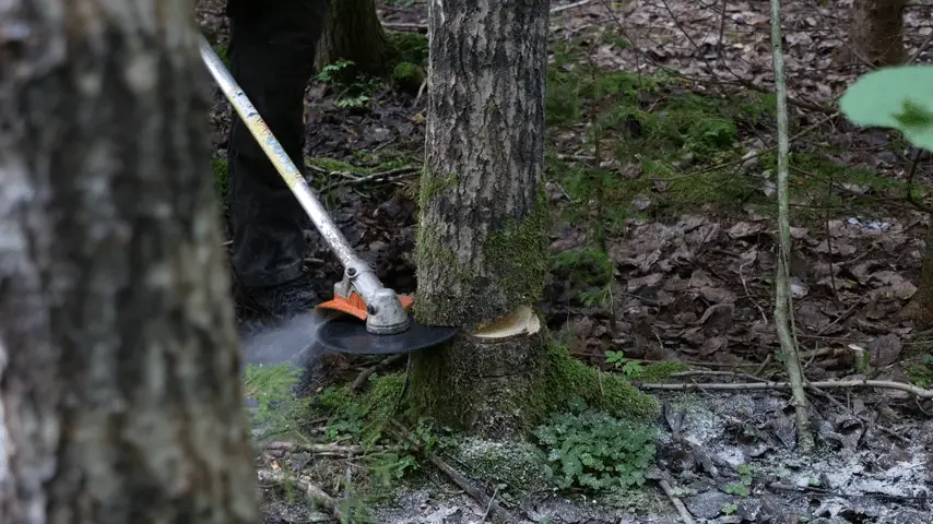 Clearing saw vs. Brush cutter |the 3 incredible differences?