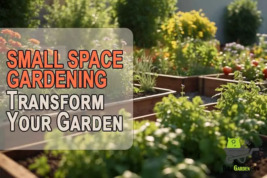 Small space gardening: transform your garden with raised beds