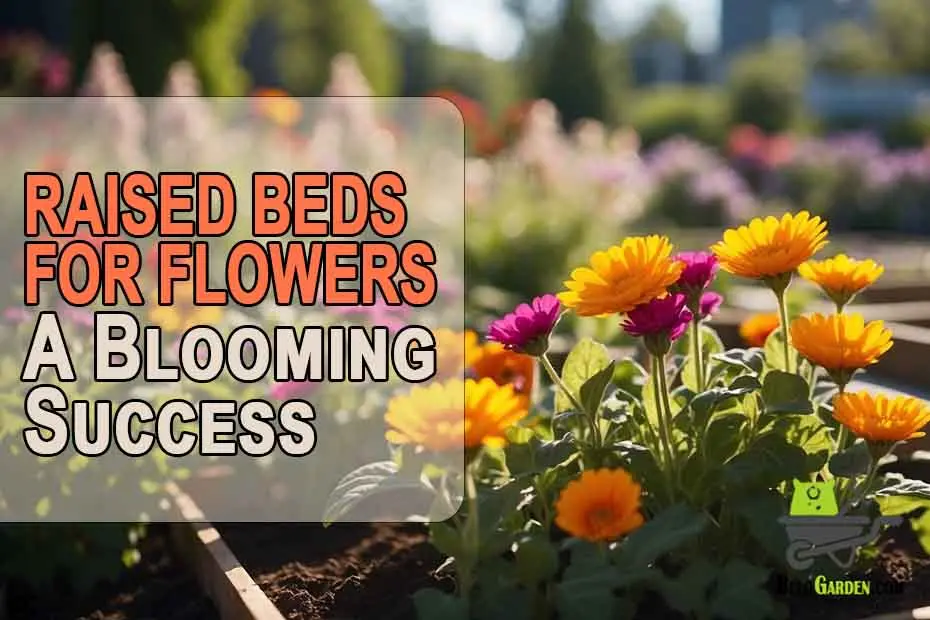 Raised beds for flowers: a blooming success