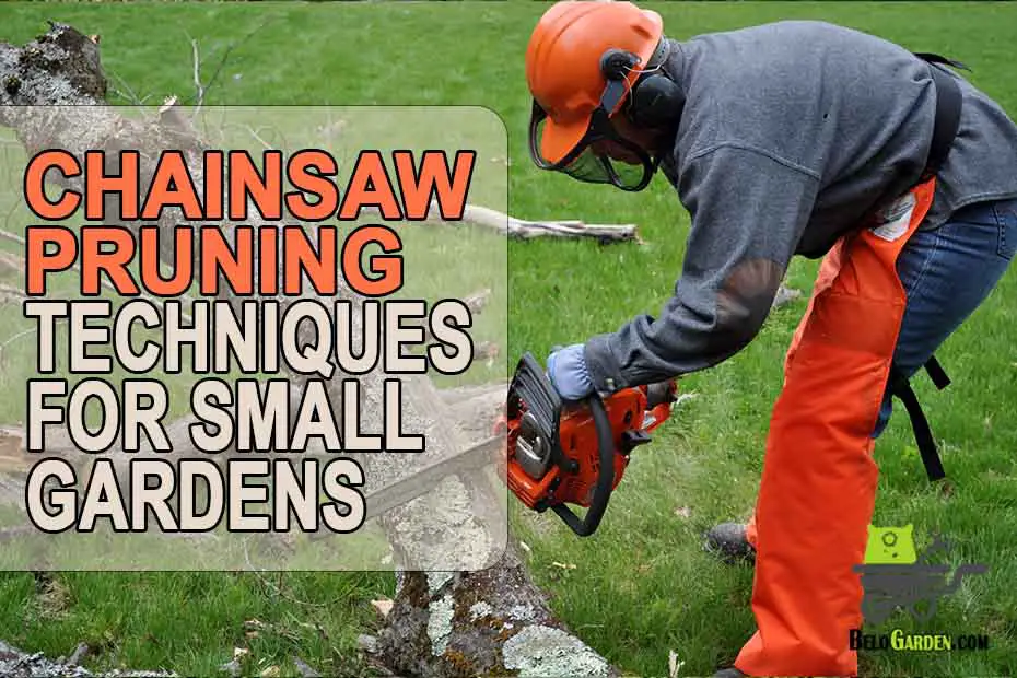 Using a chainsaw for pruning in a small garden